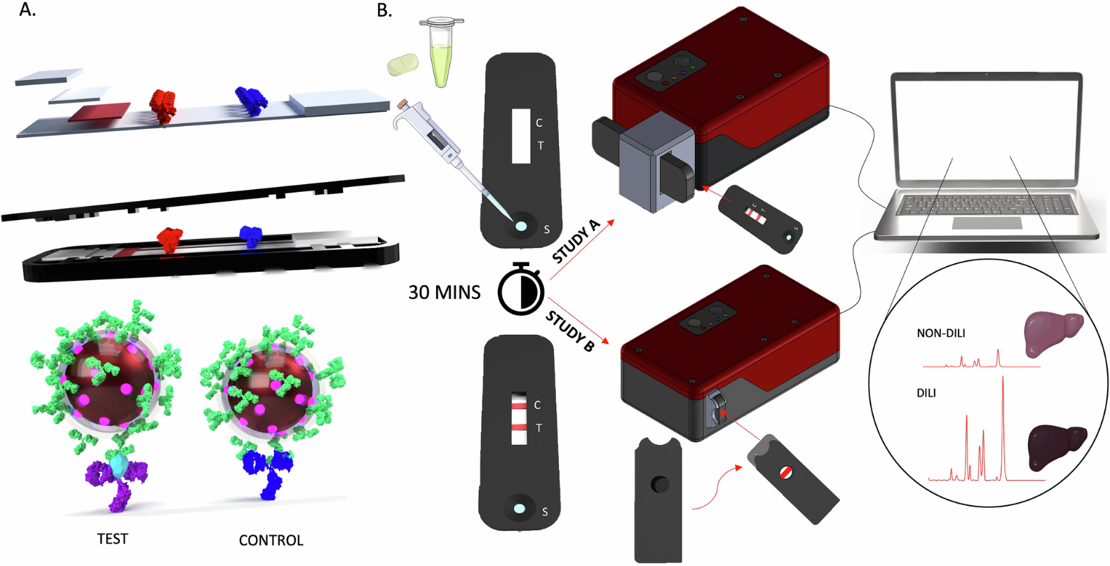 ラマン分光 × LFIA で「現場即診断」を実現 ― 薬物性肝障害（DILI）の迅速スクリーニングに成功